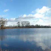 Geflutete Polderfläche