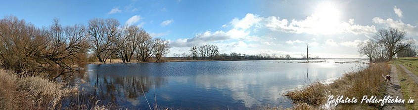 Geflutete Polderfläche