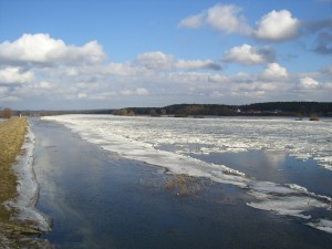 Frühjahrshochwasser an der Oder