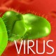Virus