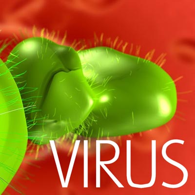 Virus