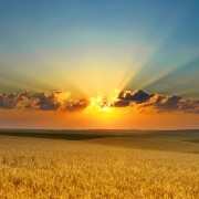 Herrlich, das Büro ist umgestellt.