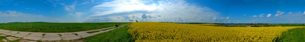 Panorama: Rapsblüte in der Uckermark