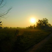 Ein schöner herbstlicher Sonnenaufgang im Unteren Odertal bei Gatow.